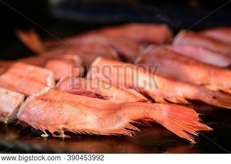 Raw Rose Fish Also Known As Ocean Perch, Atlantic Golden Redfish, Bream Or Hemdurgan Ready To Be Gri