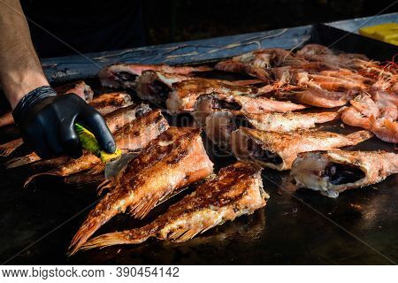 Raw Rose Fish Also Known As Ocean Perch, Atlantic Golden Redfish, Bream Or Hemdurgan Ready To Be Gri