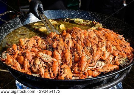 European Crayfishes Astacus Astacus (noble Or Broad-fingered Crayfish, The Most Common Species Of Cr