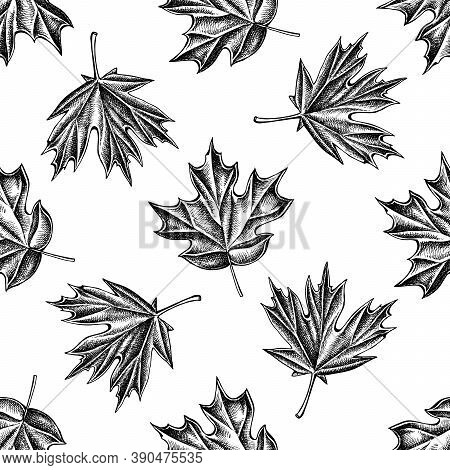 Seamless Pattern With Black And White Maple Stock Illustration