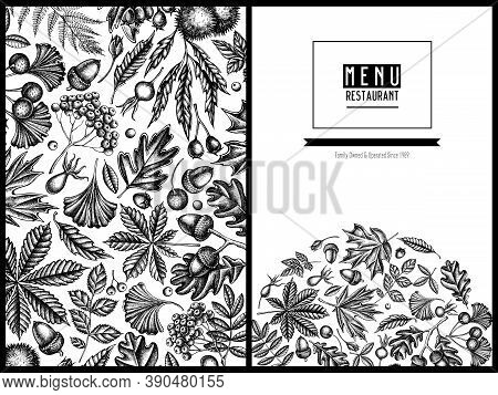 Menu Cover Design With Black And White Fern, Dog Rose, Rowan, Ginkgo, Maple, Oak, Horse Chestnut, Ch