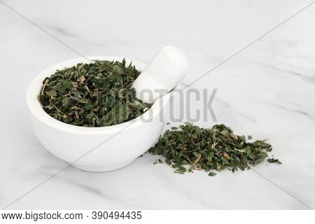 Pellitory of the wall herb in a mortar with pestle used in herbal medicine to treat fluid retention, urinary tract disorders, constipation, coughs and also used for burns and wounds on the skin.  
