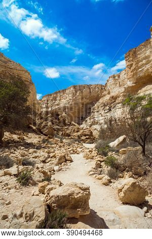  Israel. The magnificent gorge Ein Avdat is the most beautiful in the Negev desert. Within the walls there are many caves and rocks. Start route. The concept of active and photo tourism