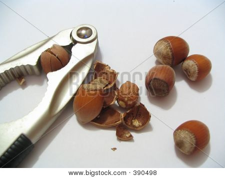 NUTS 2