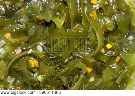 Sea Kale.sea Kale Vitamin Salad.background Seaweed Is The Top View.