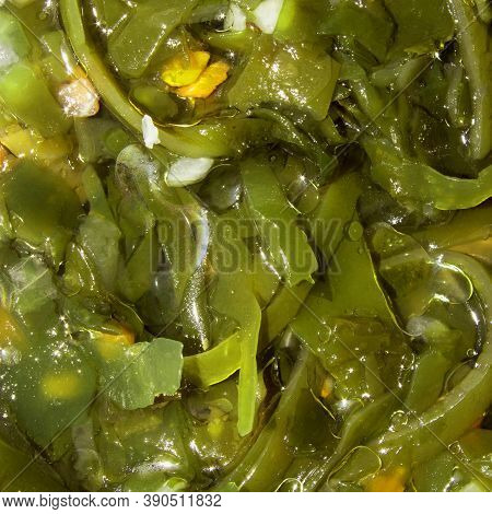Sea Kale.sea Kale Vitamin Salad.background Seaweed Is The Top View.