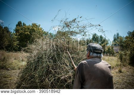 Old Farmer Making A Haystack With A Pitchfork For The Winter On A Sunny Day In Autumn. Agricultural 