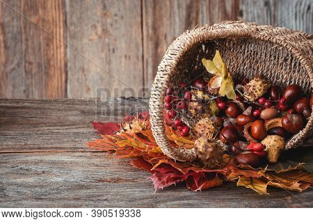 Autumn Nature Concept. Dogberry, Leaves In A Basket, Pumpkins An Fall Seeds On A Wooden Table.