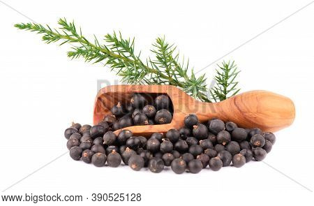 Dry Juniper Berries With A Green Branch, Isolated On White Background. Common Juniper Fruits In Wood