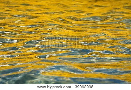 Vand refleksion
