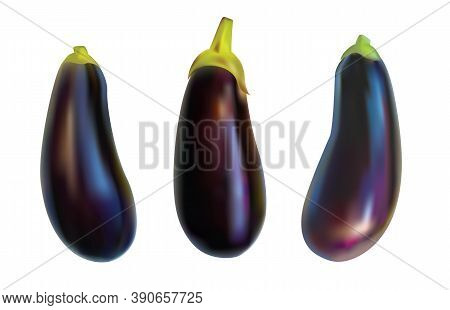 Aubergine Vegetable, Purple Eggplant Isolated On White Background. Realistic Image Of A Brinjal.
