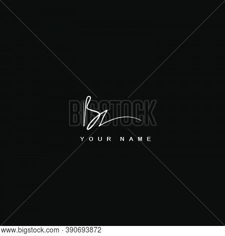 Signature Logo  B And Z, Bz Initial Letter. Handwriting Calligraphic Signature Logodesign.