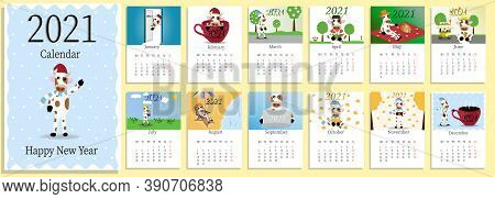 2021 Calendar Design With Bull With Hobbies In Different Seasons Of The Year. Calendar Design Concep