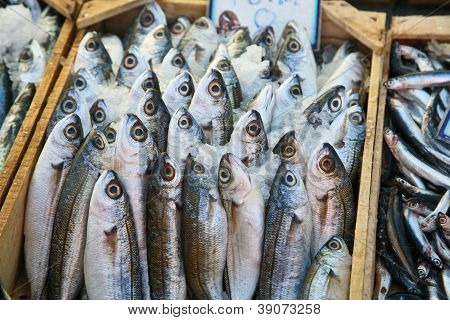 Fish Market