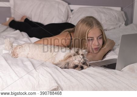 Beautiful Blonde With A Puppy Shih-tzu And Laptop On Bed With White Sheets. Pretty People And Pets O
