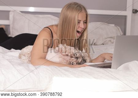 Beautiful Blonde With A Puppy Shih-tzu And Laptop On Bed With White Sheets. Pretty People And Pets O