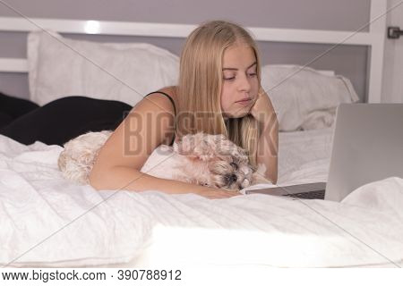 Beautiful Blonde With A Puppy Shih-tzu And Laptop On Bed With White Sheets. Pretty People And Pets O
