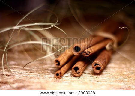 Canela