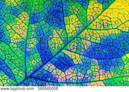 A Leaf Of A Tree Close Up. Vivid Background Or Wallpaper About Autumn. Mosaic Blue, Green And Yellow