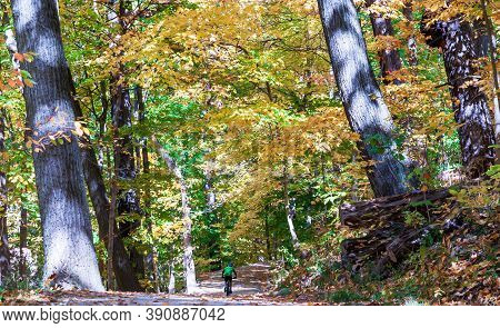 A Bicyclist On A Trail In Frick Park On A Sunny Fall Day In Pittsburgh, Pennsylvania, Usa