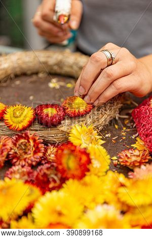 Woman Hands Makes An Autumn Wreath At The Door From Yellow Xeranthemum