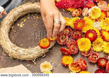 Womens Hands Make Round Autumn Wreath With Helichrysum Bracteatum
