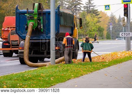 Utility Workers Remove Yellow Autumn Leaves With An Industrial Vacuum Cleaner. An Industrial Vacuum 