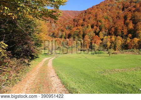 Autumn lamdscape with rut road across meadow in mountains, Carpathians in Ukraine