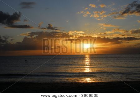 Sonnenuntergang in West florida