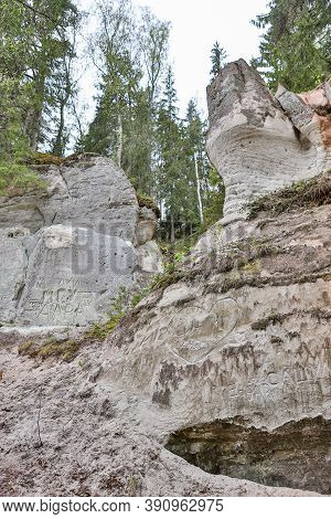 Details Of Old Rock Clifts Near Tourist Track. Photo Taken On A Cloudy Sprin Day In Latvia.