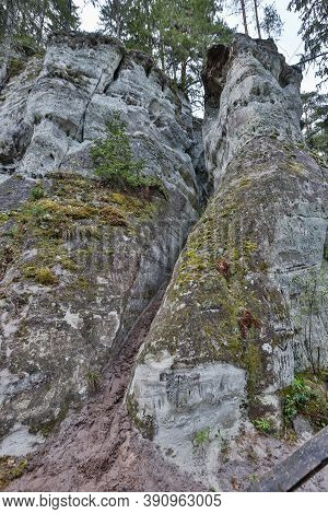 Details Of Old Rock Clifts Near Tourist Track. Photo Taken On A Cloudy Sprin Day In Latvia.