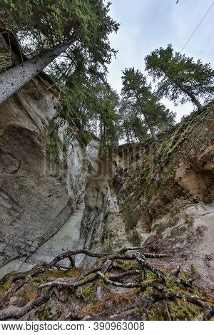 Details Of Old Rock Clifts Near Tourist Track. Photo Taken On A Cloudy Sprin Day In Latvia.