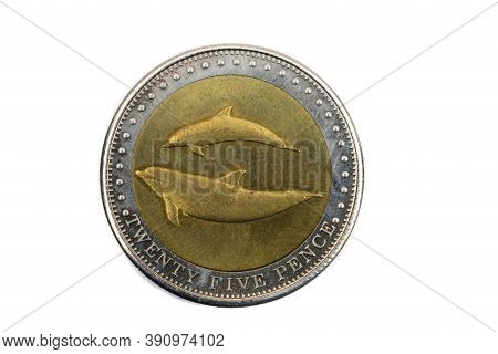 A Close Up View Of A Twenty Five Pence Coin From Tristan Da Cunha