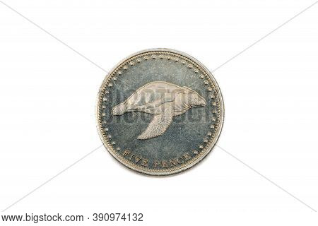 A Close Up View Of A Five Pence Coin From Tristan Da Cunha