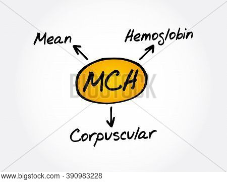 Mch - Mean Corpuscular Hemoglobin Acronym, Medical Concept Background