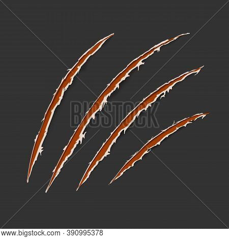 Red Claws Animal Scratch Scrape Track Isolated On Dark Background. Vector Illustration, Eps10. Cat T