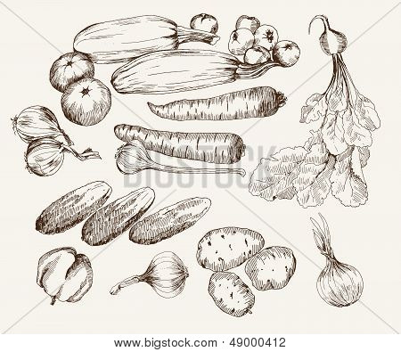 vegatables