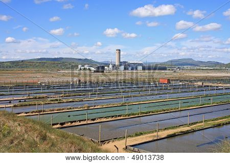 Worm Farm