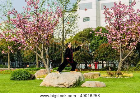 SHANGHAI - 7 aprile: una vecchia donna esercizio di tai chi con il costume tradizionale in parco gucheng in th