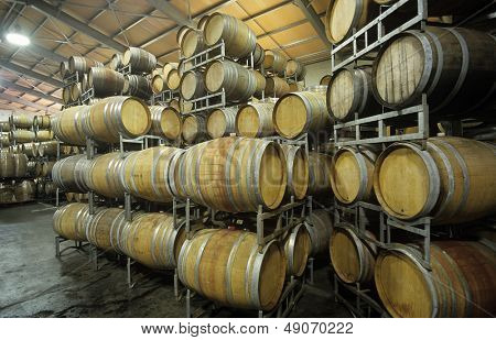 Botti di vino nella tettoia di immagazzinaggio