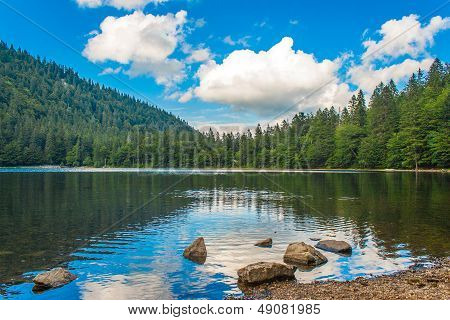 Vista sopra il Feldsee In Germania Feldberg