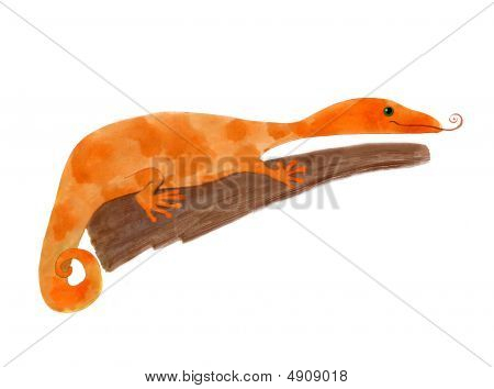 เก็คโค