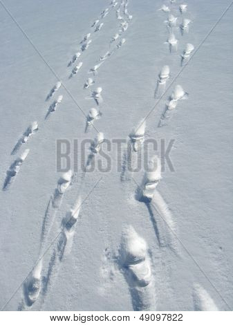 ausgehende Menschen und Spuren auf Schnee