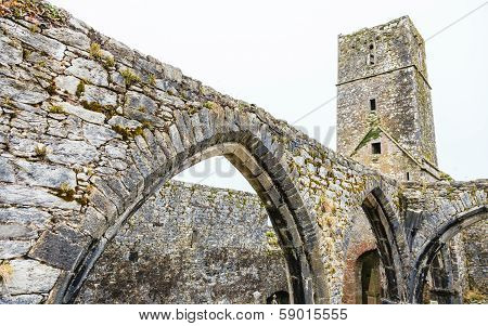 Kilcrea, Ireland - November 28: Kilcrea Friary On November 28, 2012 In Co.cork, Ireland