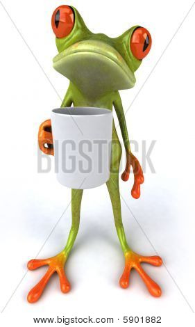 Sjove frøen