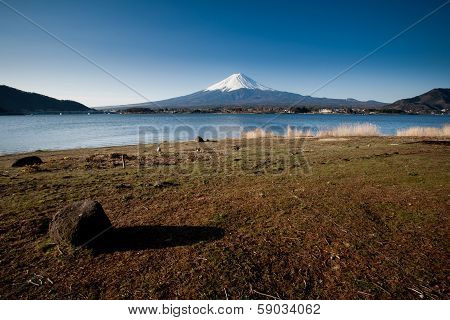 Mt Fuji View From The Lake