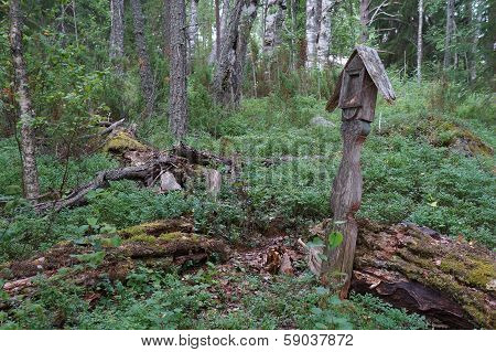 Grave In The Forest