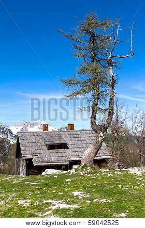 chalet