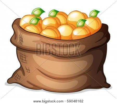 Illustration of a sack of oranges on a white background