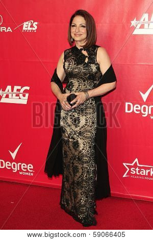 LOS ANGELES - JAN 24: Gloria Estefan at the 2014 MusiCares Person Of The Year event at the Convention Center on January 24, 2014 in Los Angeles, CA